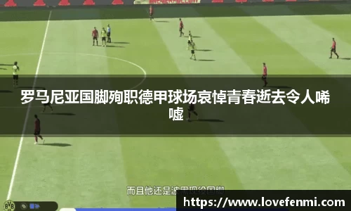 南宫ng28官方网站
