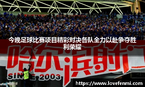 今晚足球比赛项目精彩对决各队全力以赴争夺胜利荣耀